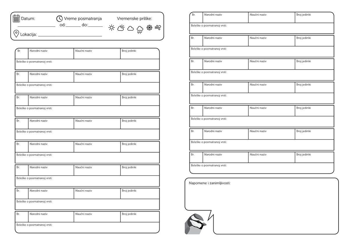 Beležnica ptice Jato