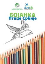 bojanka ptice srbije knjiga jato