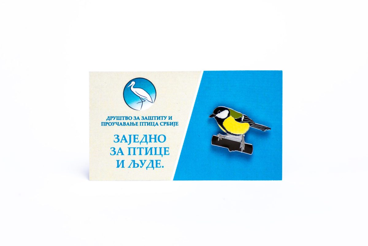 velika senica bedž Jato