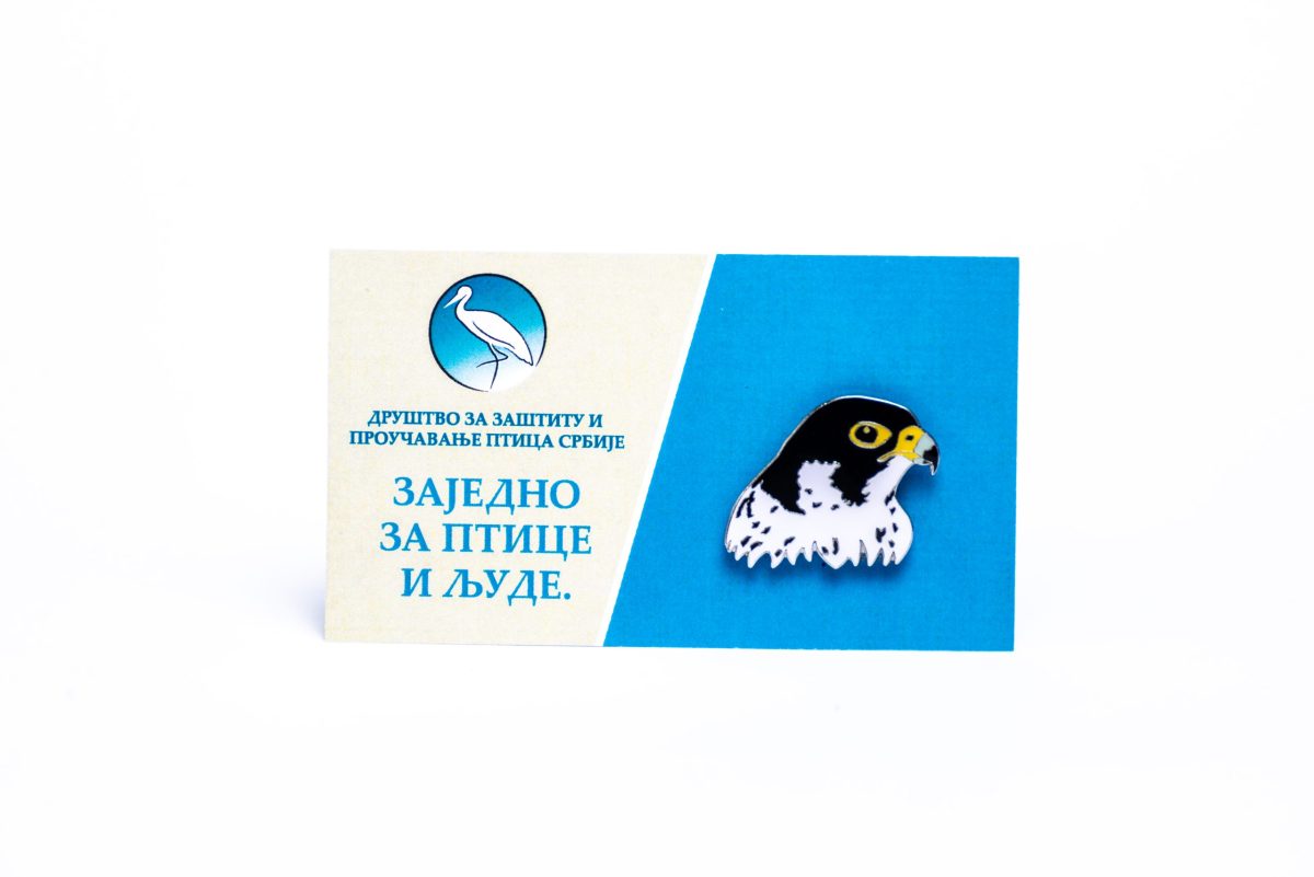 sivi soko bedž Jato