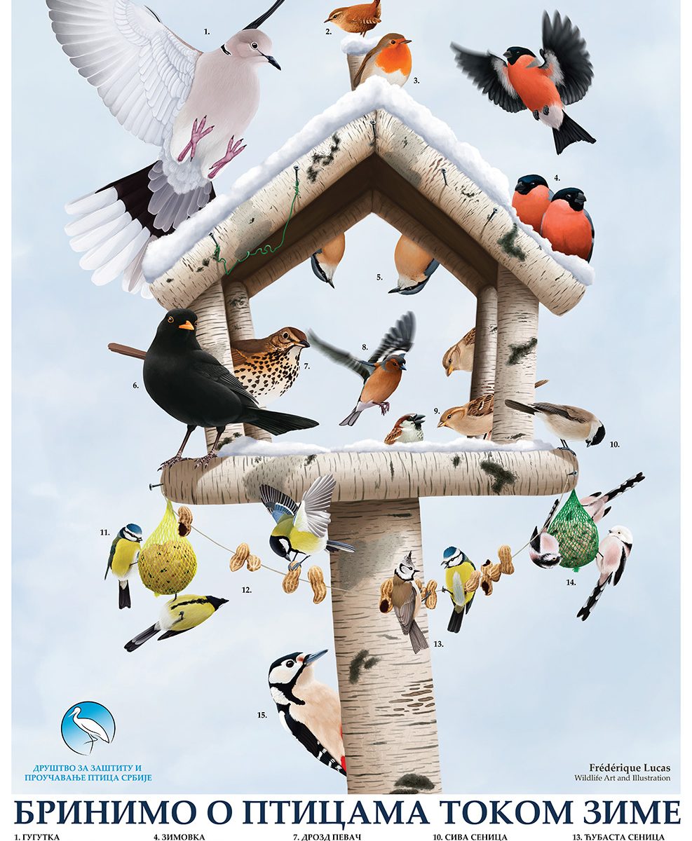 ptice hranilice poster jato