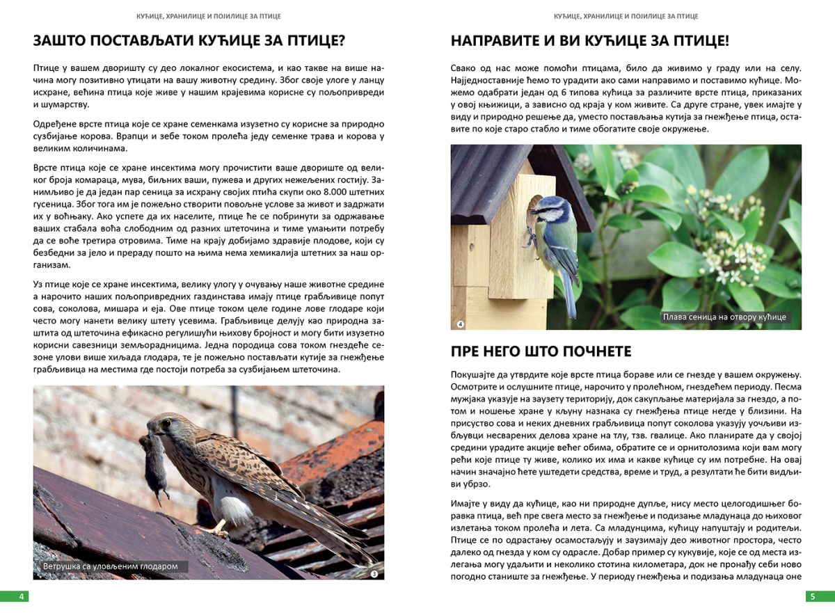 Kucice i hranilice 01 Kućice i hranilice za ptice Jato