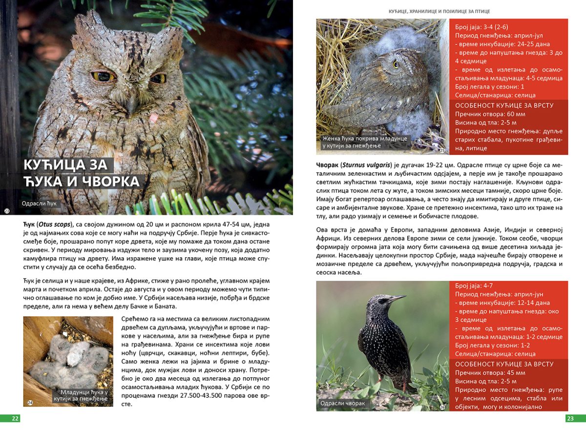 Kucice i hranilice 02 Kućice, hranilice i pojilice za ptice - Slika 3