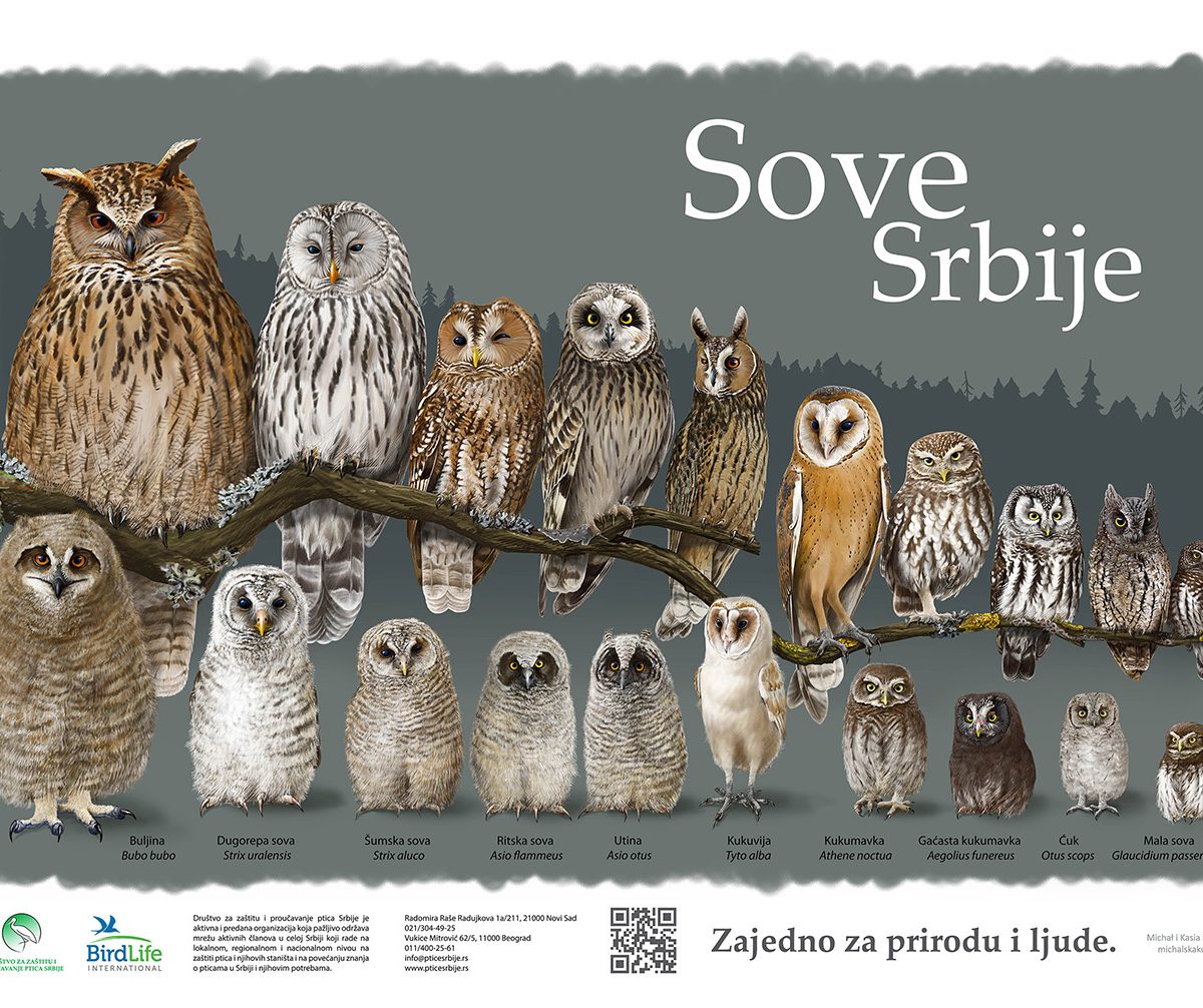 sove srbije poster jato