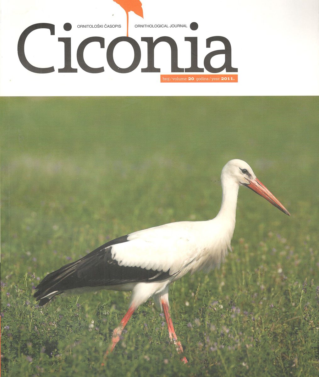 Ornitološki časopis Ciconia Jato