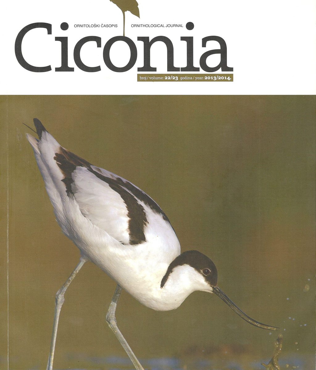 ornitološki časopis Ciconia Jato