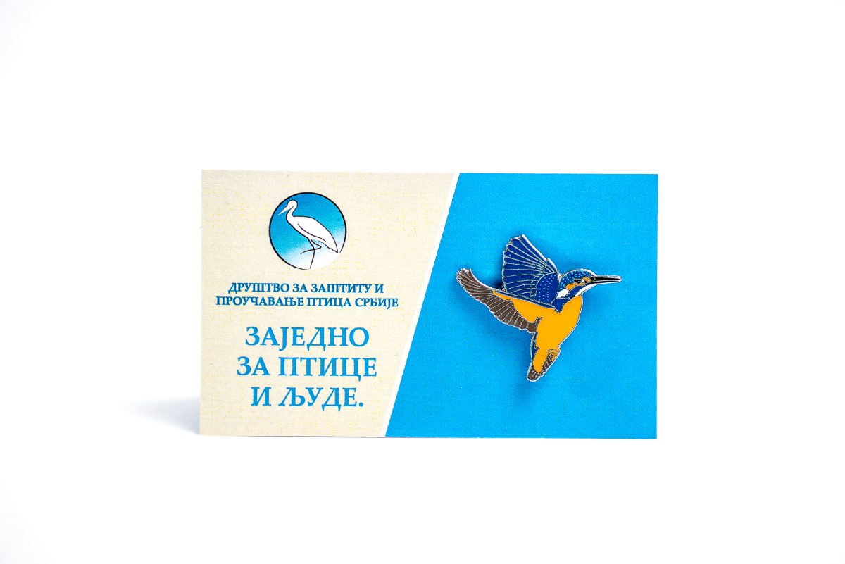 Vodomar u letu - Slika 2