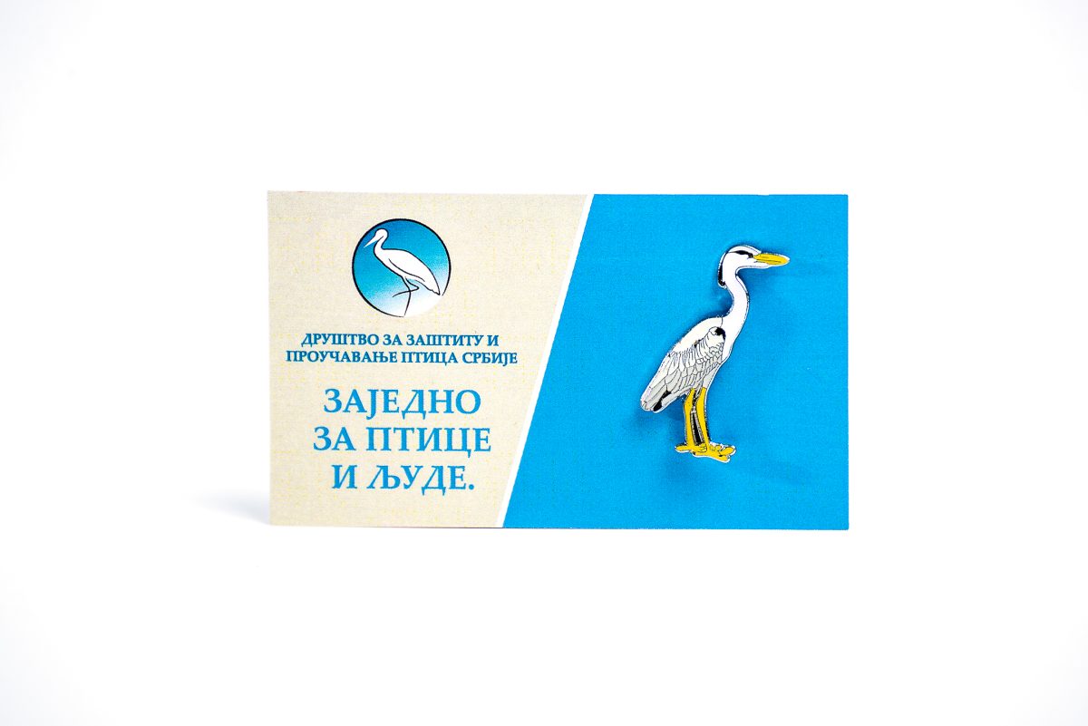 Siva čaplja - Slika 2