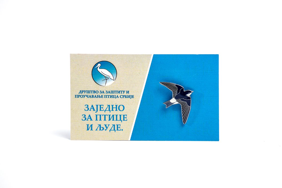 Gradska lasta - Slika 2