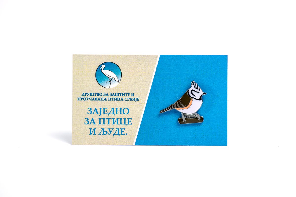 Ćubasta senica - Slika 2