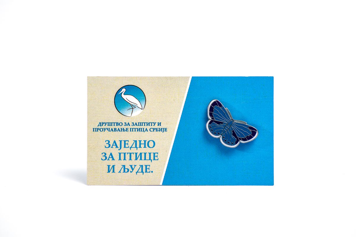 Obrubljeni plavac - Slika 2