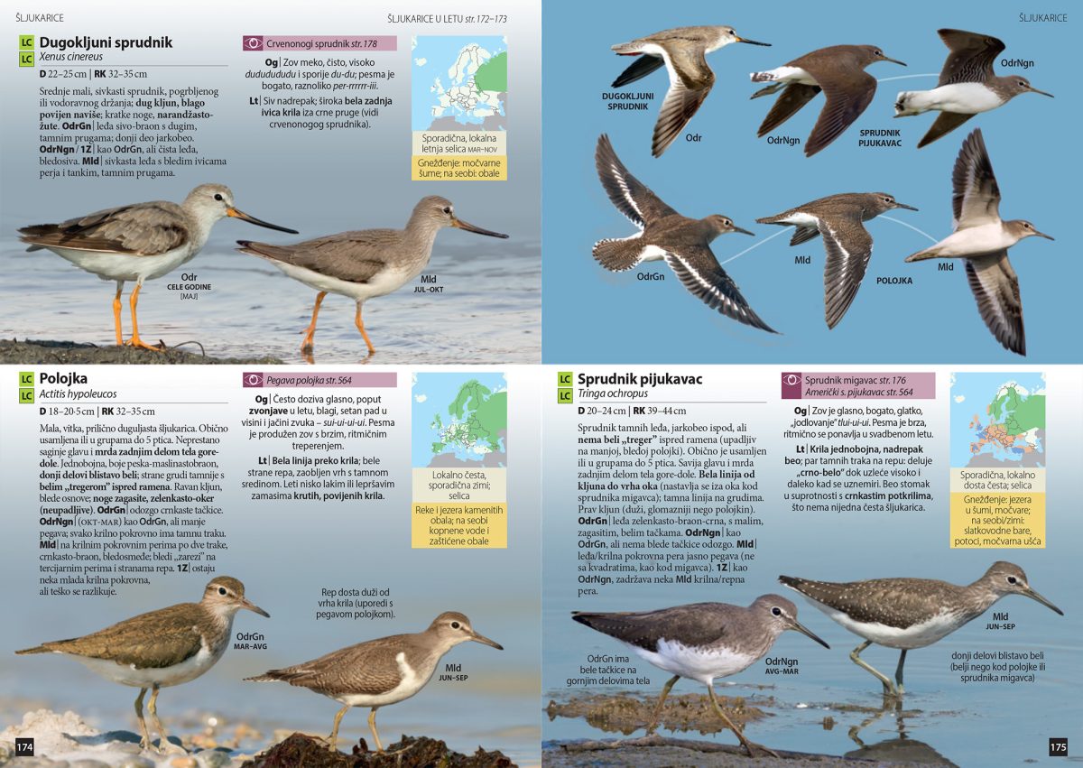 Ptice Srbije i Evrope - vodič za raspoznavanje - Slika 4