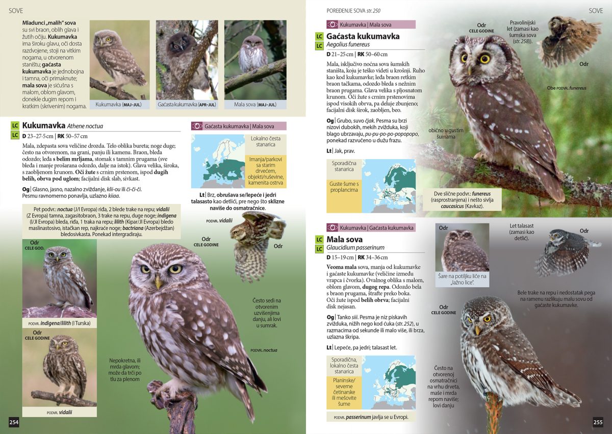Ptice Srbije i Evrope - vodič za raspoznavanje - Slika 3
