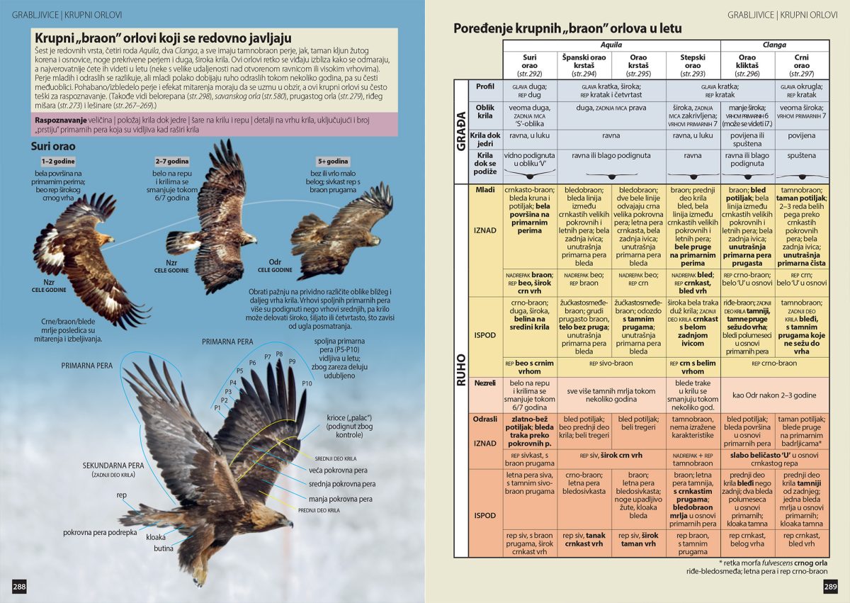 Ptice Srbije i Evrope - vodič za raspoznavanje - Slika 2