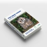 ptice srbije i evrope jato