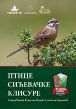 Ptice Sićevačke klisure jato