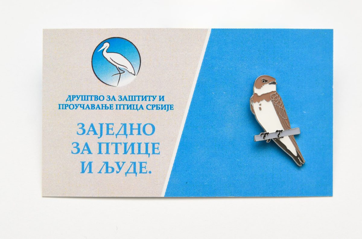 PTICE BEDZEVI_00024 bedž bregunica jato