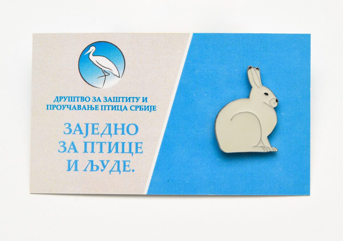 bedž snežni zec jato