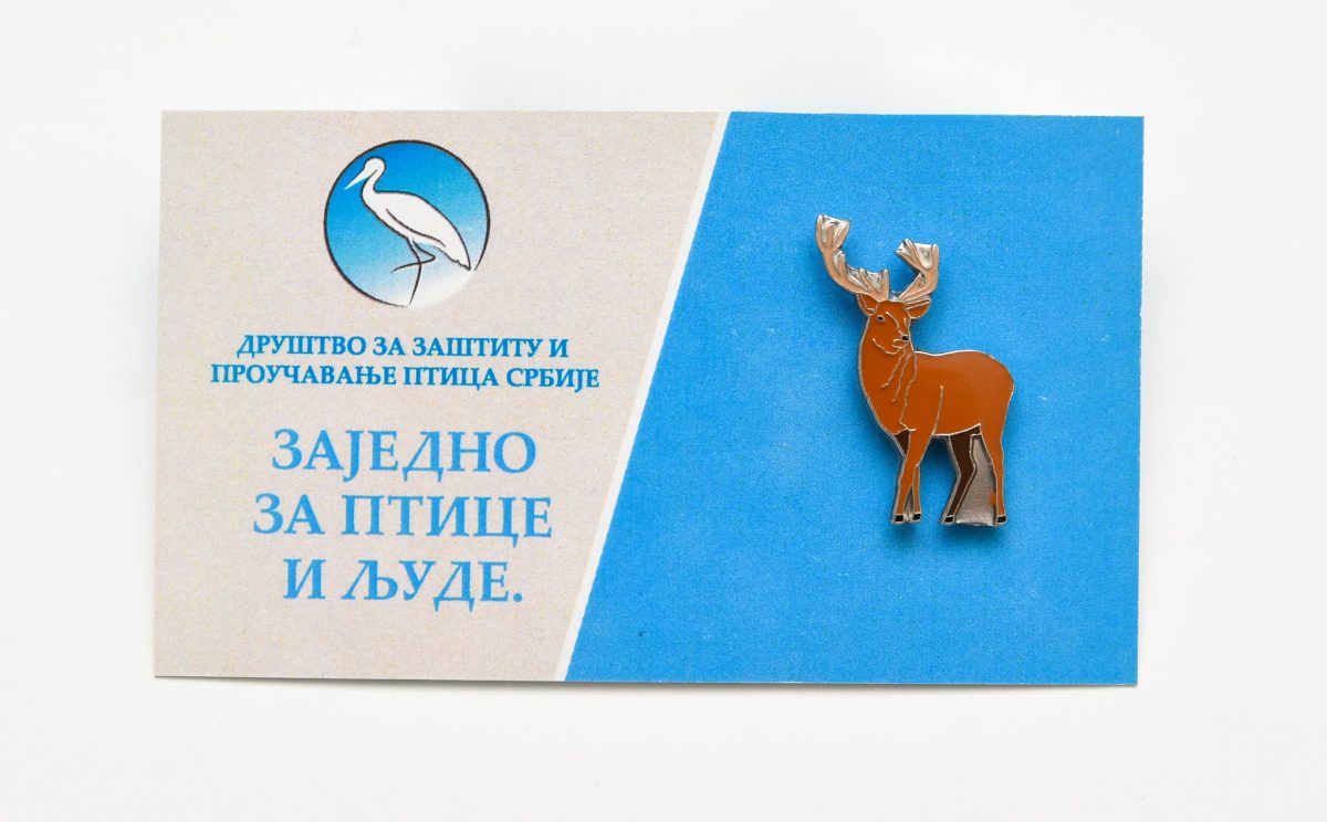 PTICE BEDZEVI_00030 bedž evropski jelen jato