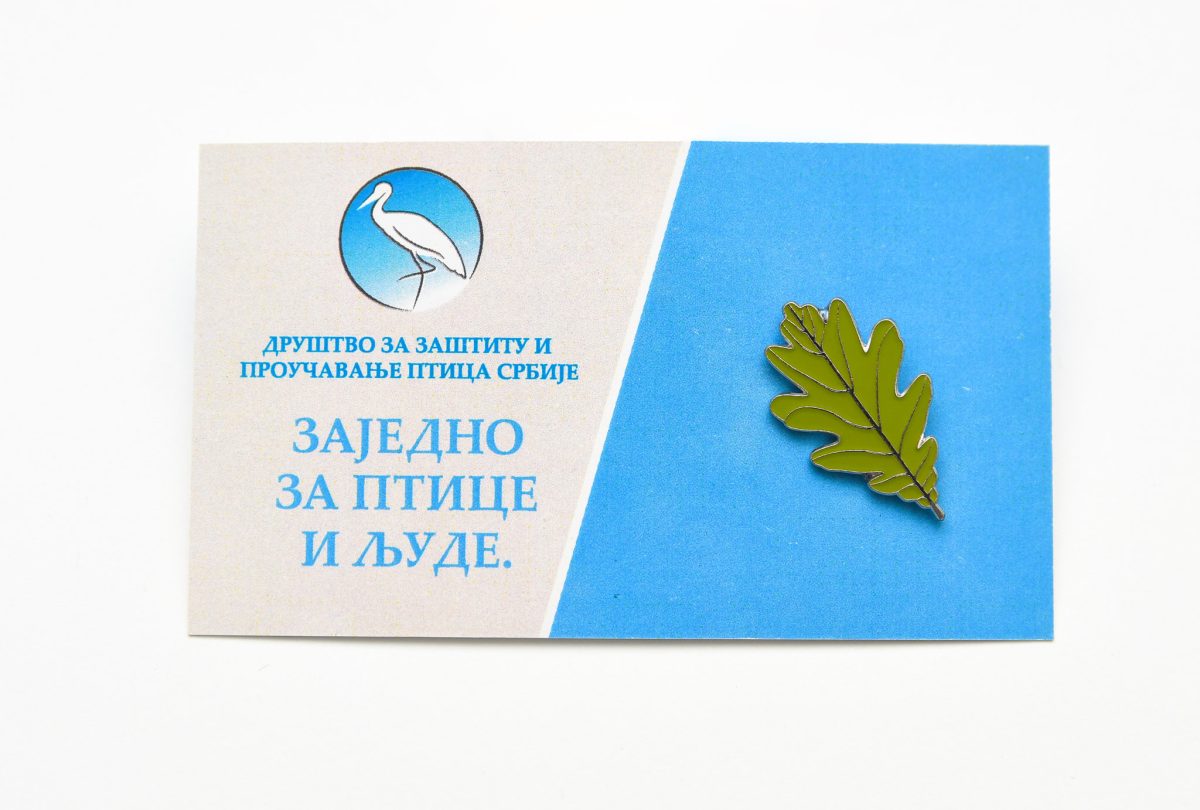 bedž hrastov list jato