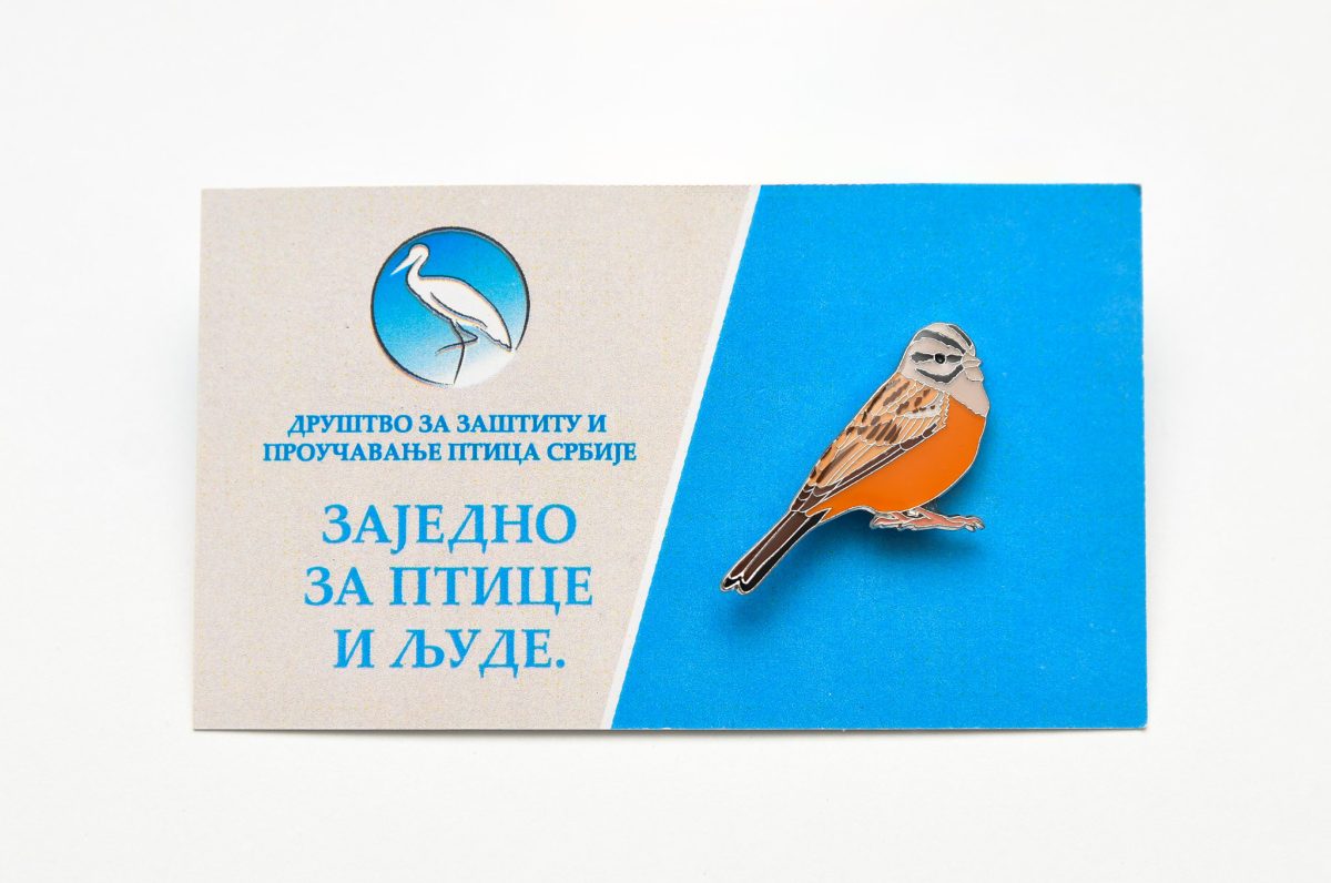 bedž strnadica kamenjarka jato