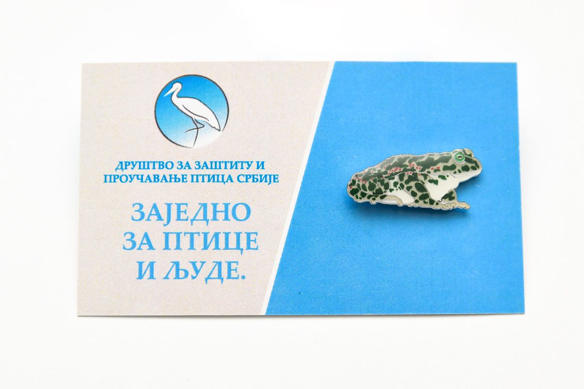 Bedž žaba krastača jato