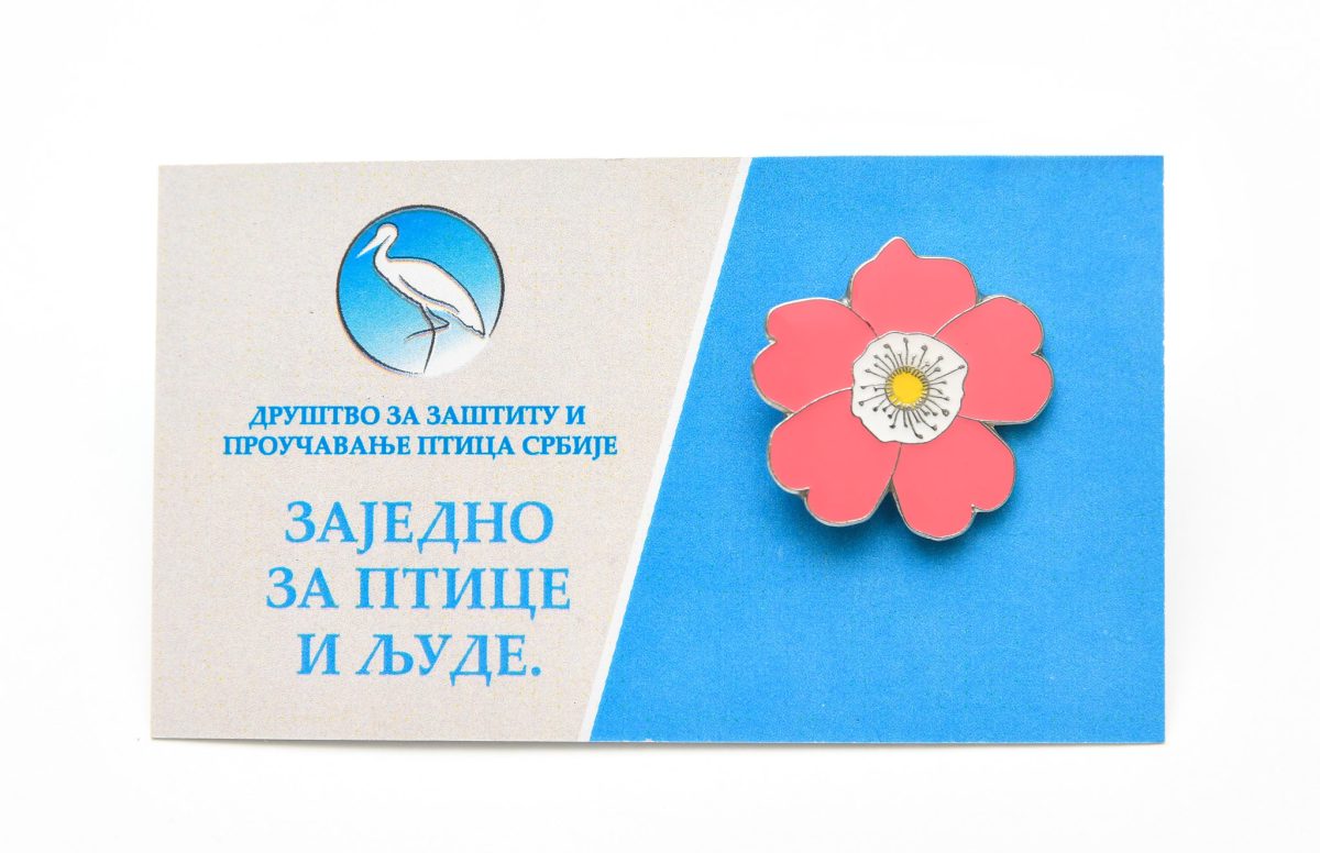 Bedž divlja ruža jato