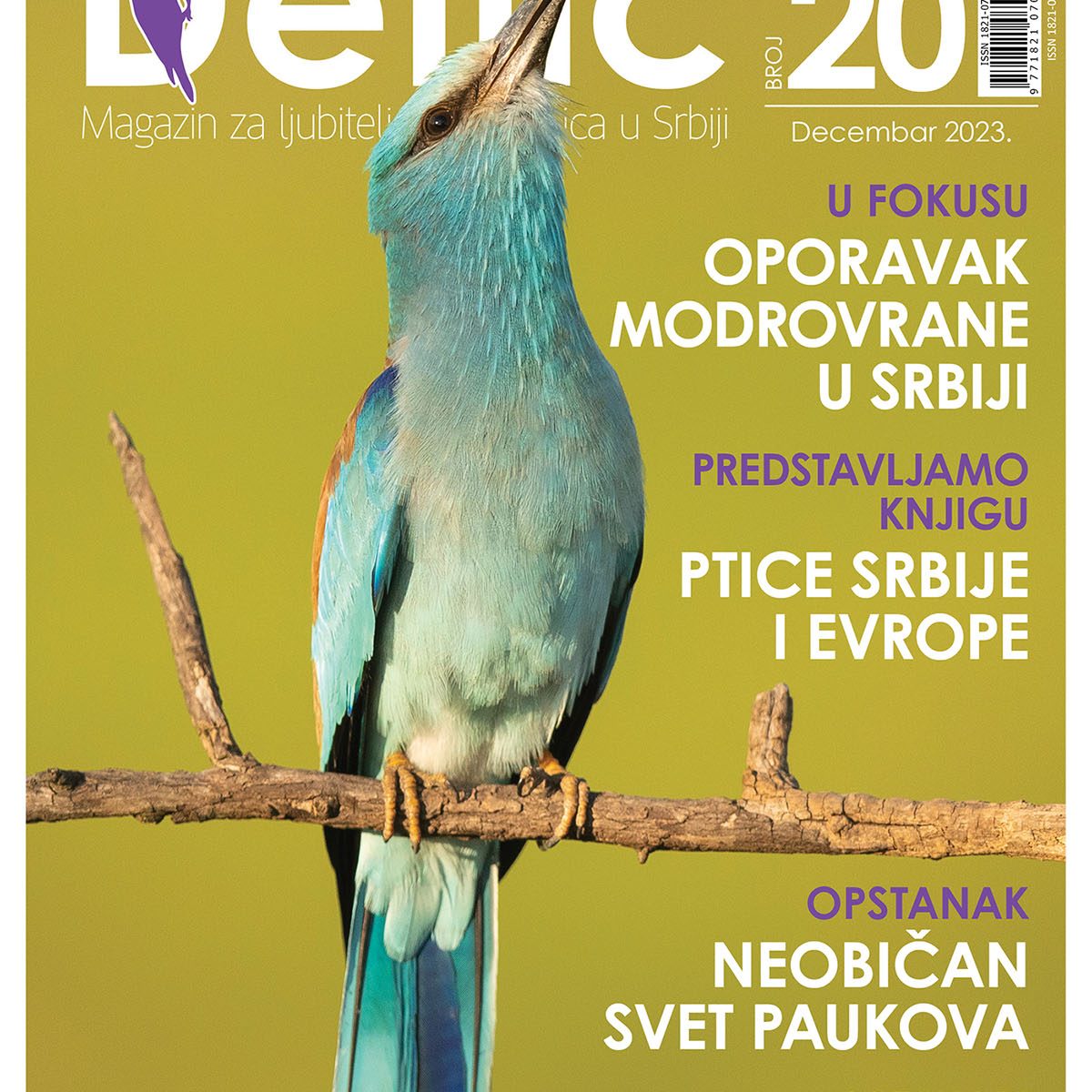 Časopis Detlić Jato