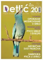 Časopis Detlić Jato