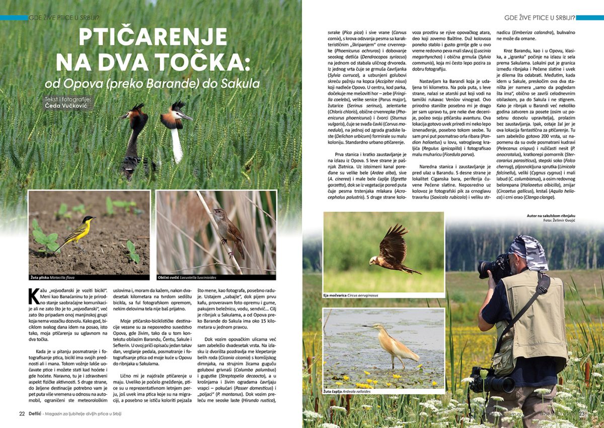 Časopis Detlić Jato