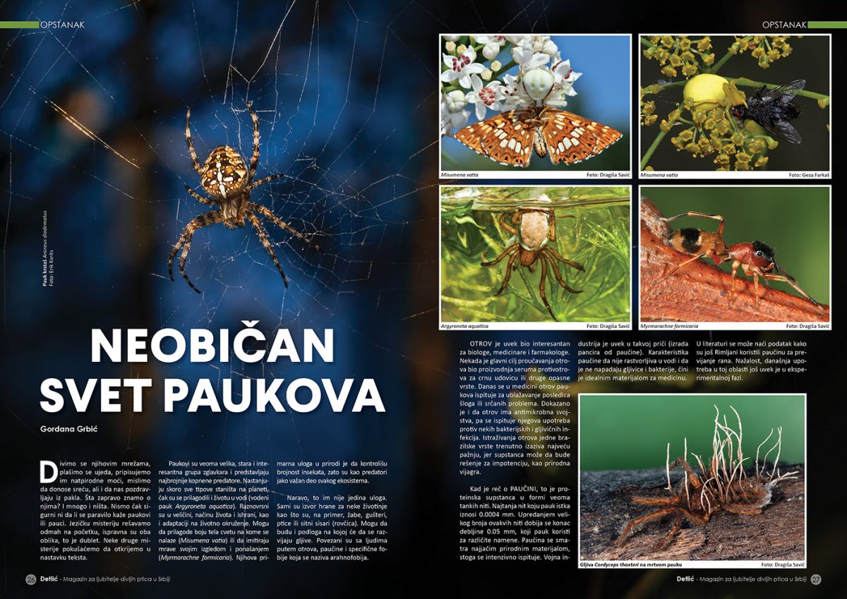 Časopis Detlić br. 20 - Slika 4