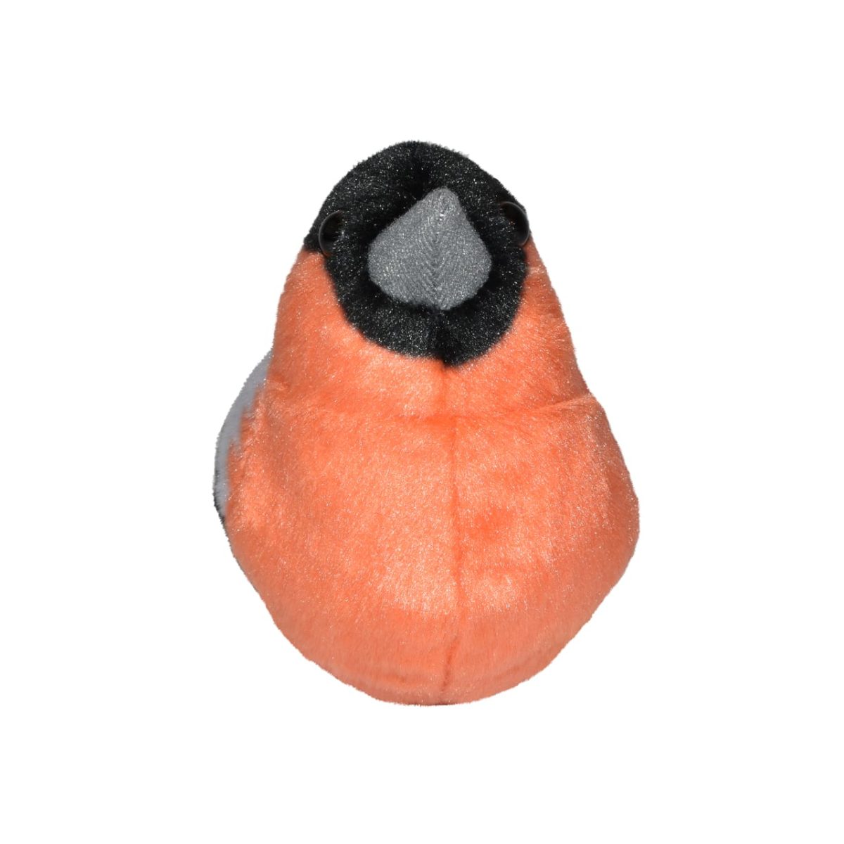 Plišana zimovka - Slika 2