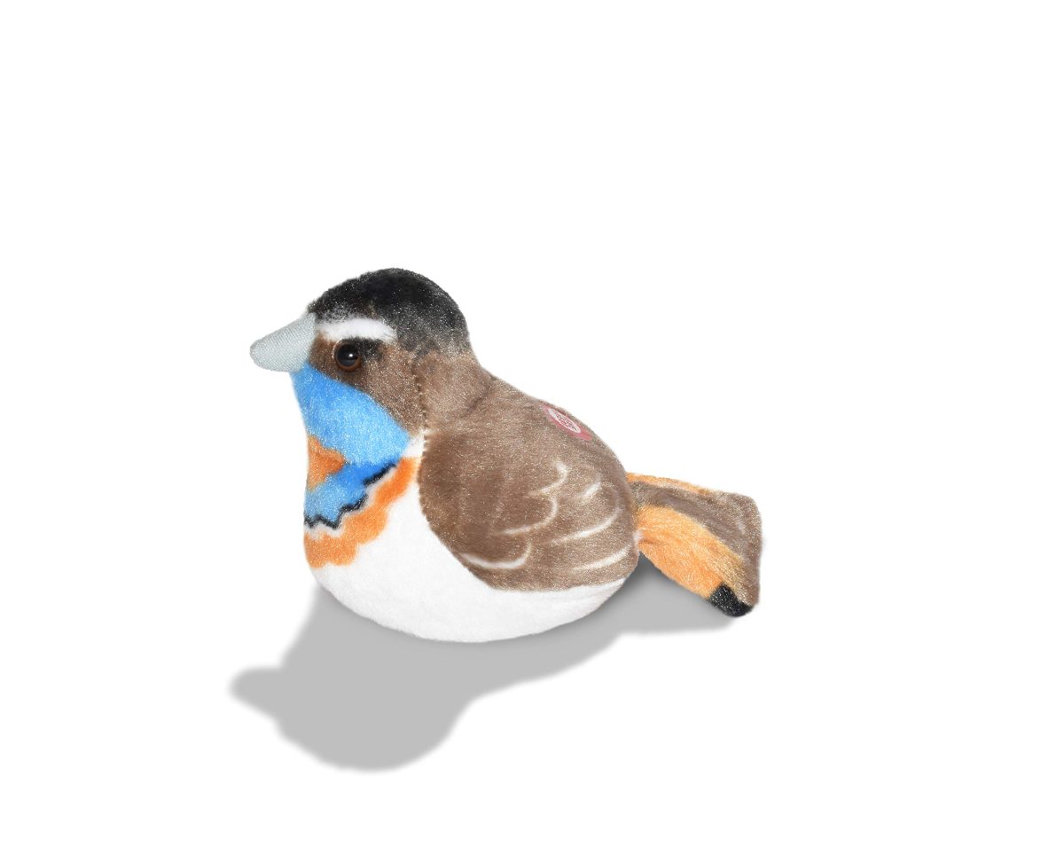 Plišana modrovoljka - Slika 3