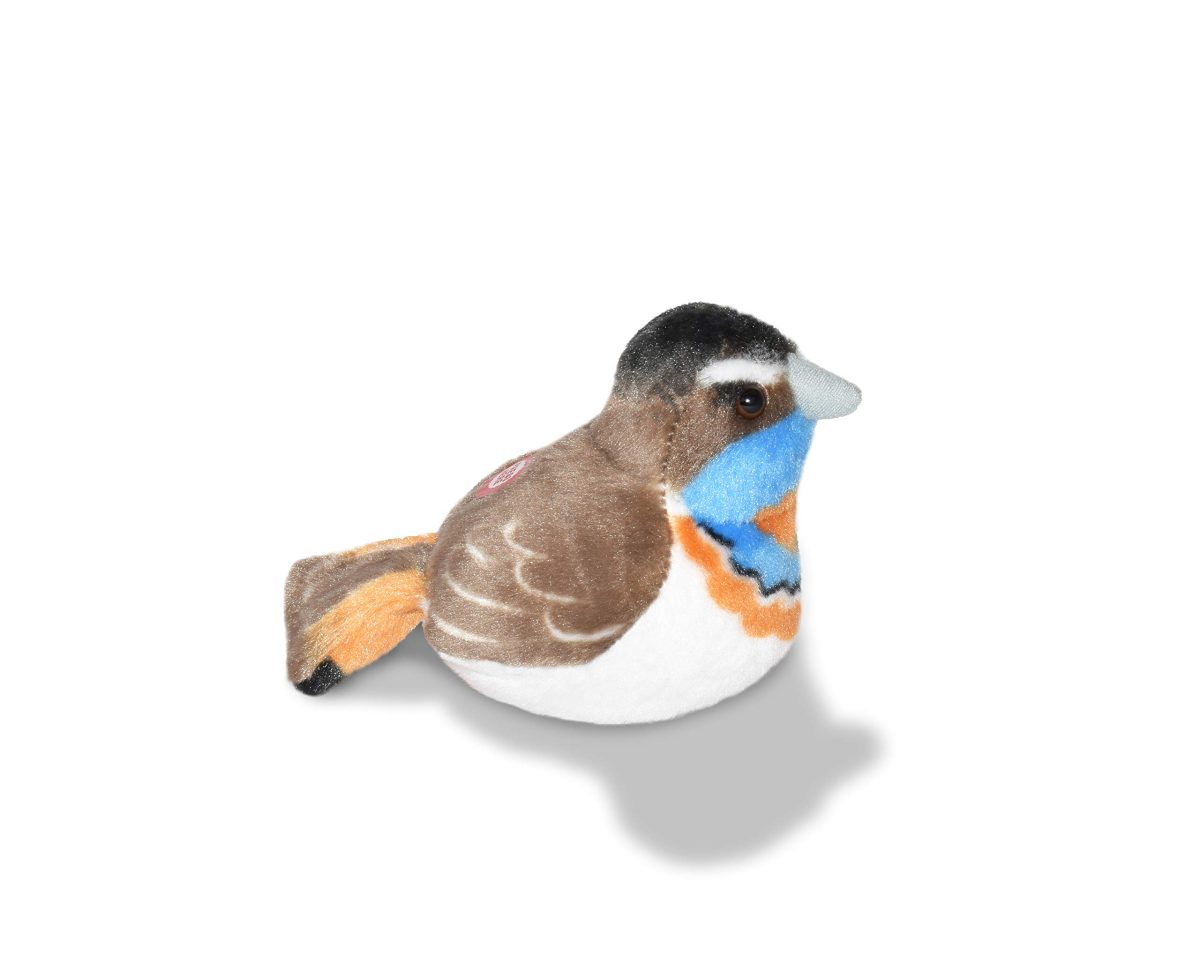 Plišana modrovoljka - Slika 2