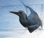 Mreža za ptice 12x2,4 m,40mm - Slika 4