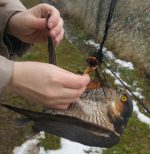 Mreža za ptice 12x2,4 m,40mm - Slika 5