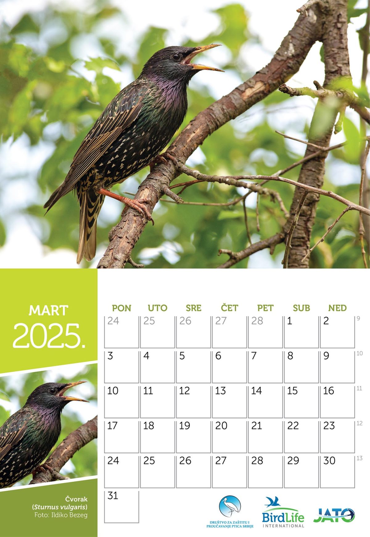 Stoni kalendar za 2025. godinu - Slika 2