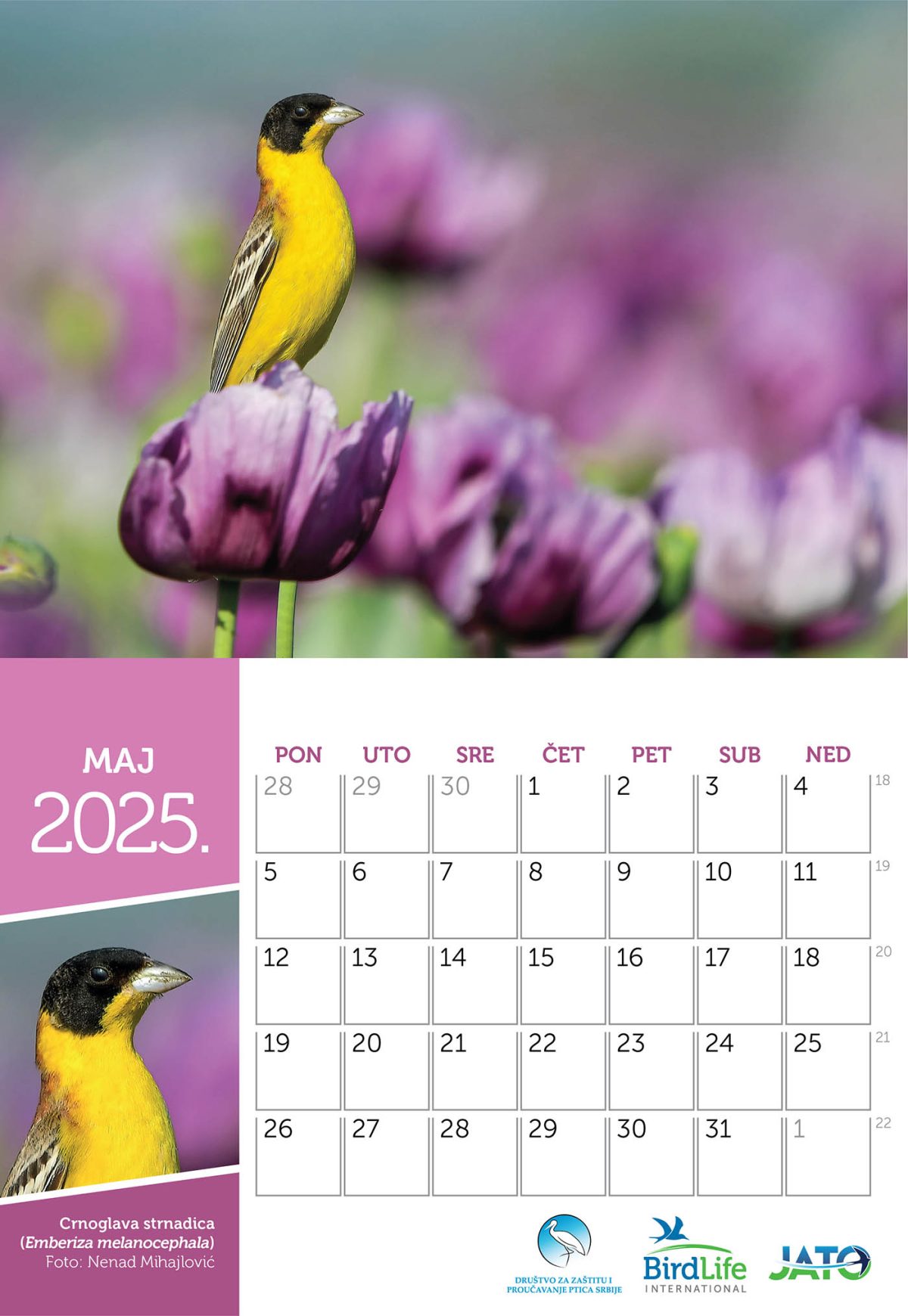 Stoni kalendar za 2025. godinu - Slika 3