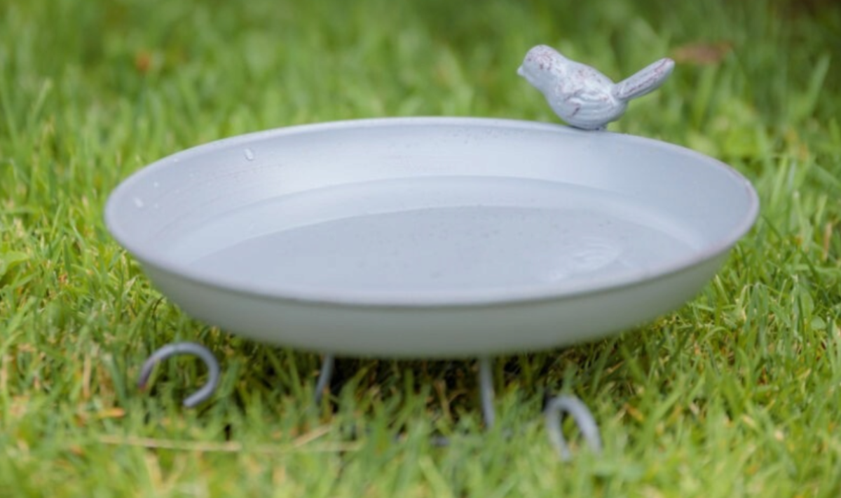 Metalna pojilica 800 ml - Slika 4