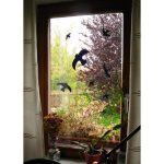 Nalepnice za prozore - crne - Slika 2