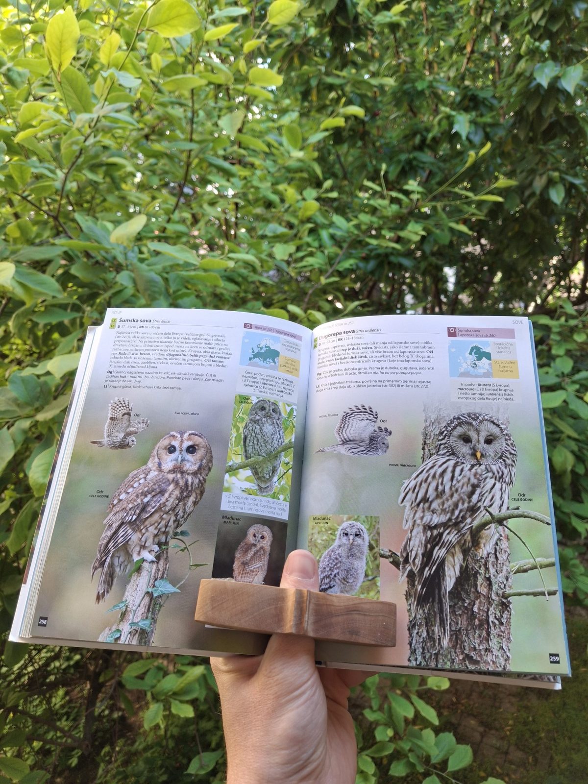 Držač stranica knjige - Slika 2