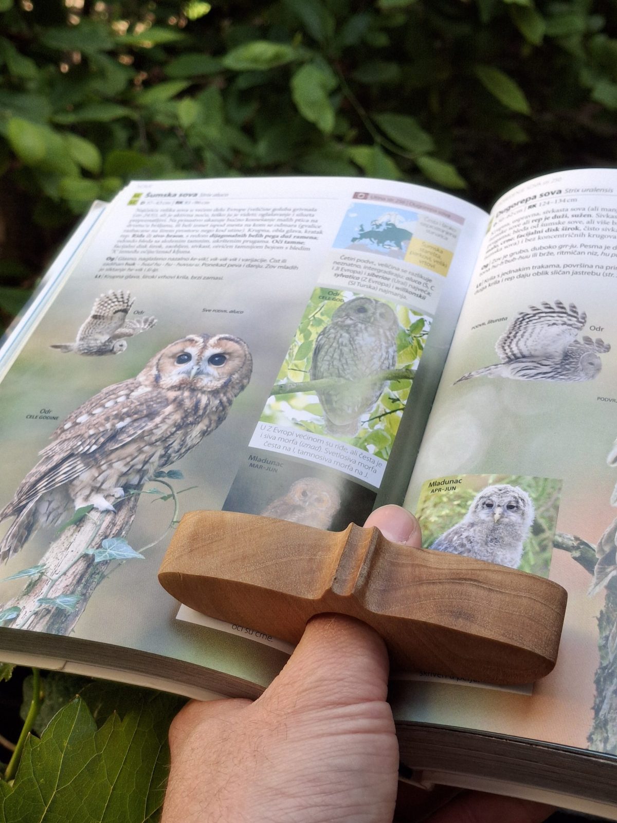 Držač stranica knjige - Slika 7