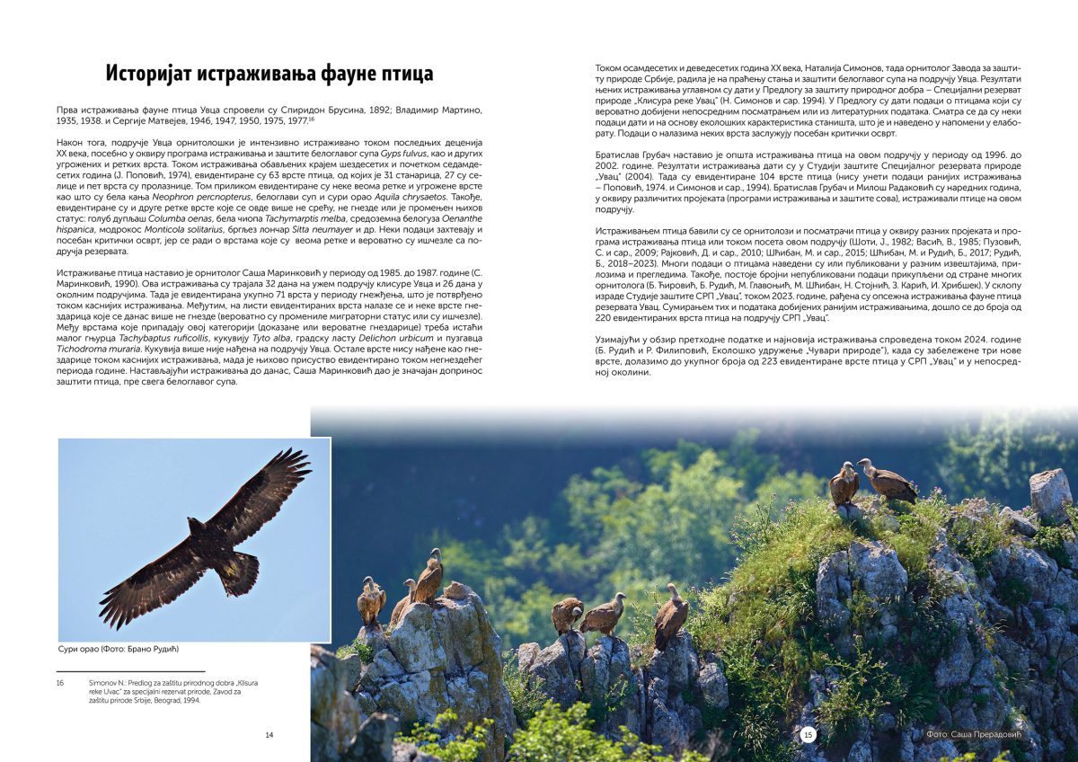 Ptice Uvca i okoline - Slika 3