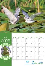 Stoni kalendar za 2026. godinu - Slika 4