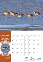 Stoni kalendar za 2026. godinu - Slika 3