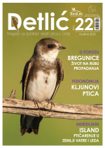 Časopis Detlić br. 22